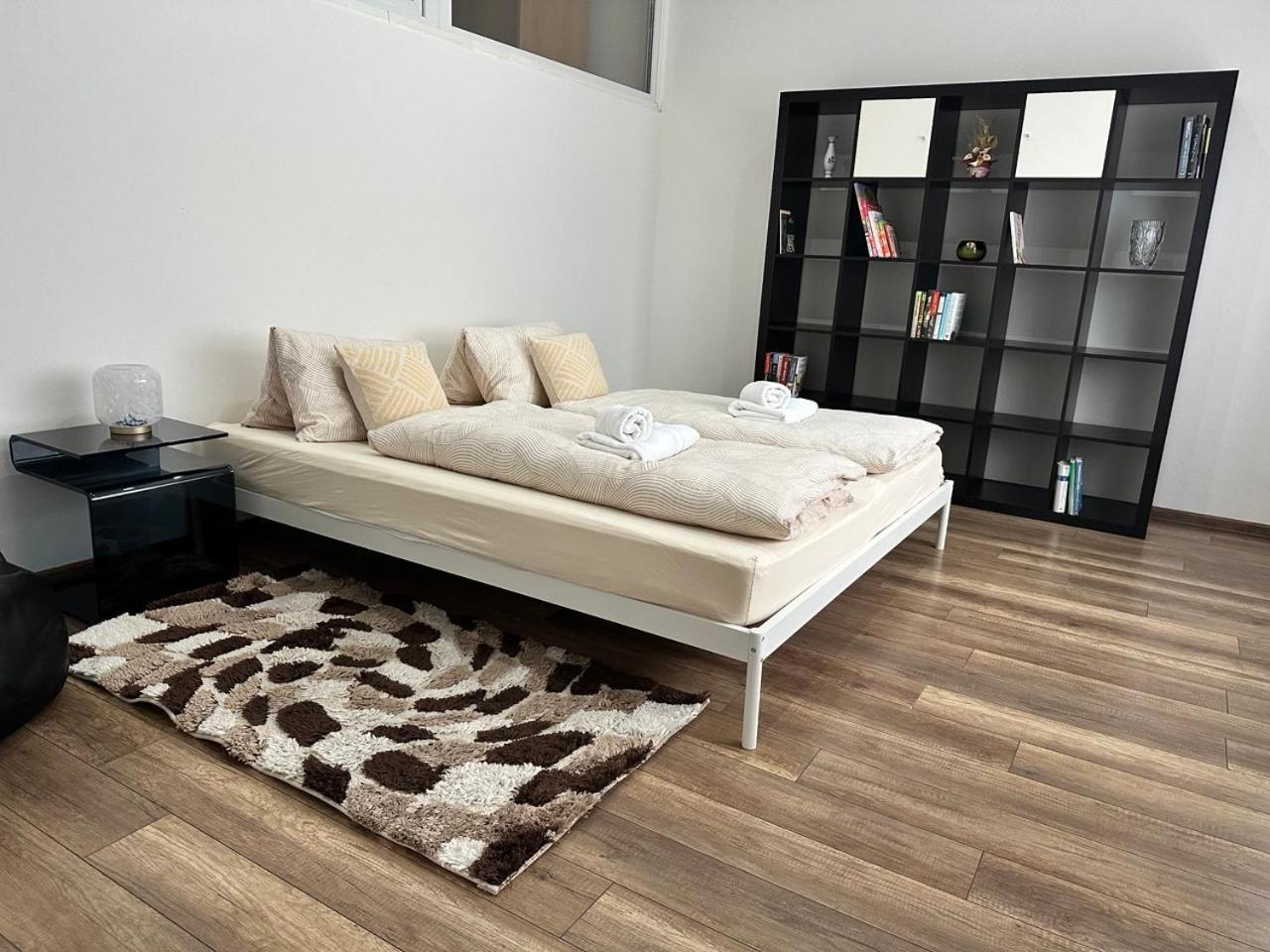 Newly Renovated 2 Downtown Apartment